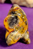 Crazy Lace Agate Crystal Fish Carving 🐠💛✨🩶🐟