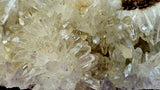 MASSIVE & HEAVY Raw Quartz Cluster Specimen w/100+ Terminations & Carved in Lizard Sculpture 🤯✨😍🦎