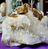 MASSIVE & HEAVY Raw Quartz Cluster Specimen w/100+ Terminations & Carved in Lizard Sculpture 🤯✨😍🦎