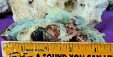 XL Caribbean Calcite Crystal Frog on Flower Carving ✨🐸🤯🤩💎🐚🌊🪸🐸