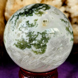 LG. Tree Agate Crystal Sphere 💚🔮✨🌳🤩