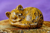 SM. Calligraphy Jasper  Crystal Sleeping Kitty Cat Carving ✨😴🐾🐈😻