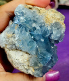 Raw Celestite Crystal Geode Specimen ✨🩵💎✨💙
