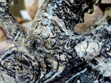 MASSIVE Picasso Jasper Crystal Eastern Asian Themed Dragon Statue ✨🤩🤯🖤🤍🩶🐲🐉