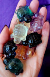 Rainbow Fluorite Crystal Turtle Carving 🐢💜💙💛💚🔮🐢✨