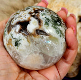 LG. Tree Agate Crystal Sphere 💚🔮✨🌳🤩