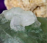LG. Rainbow Fluorite Crystal Frogs on Lily Pad Carving 🐸💚✨🤍🌈🐸