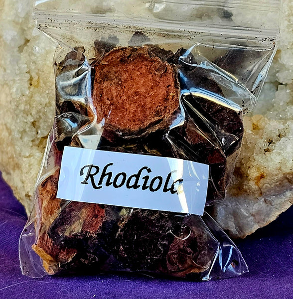 Fresh Cut & Dried Organic Rhodiola Herb 🌿🌰🍄