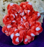 Handmade Crocheted Strawberries and Cream Octobaby Plushie 🦑🥹🐙