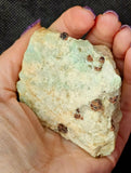Raw Pegmatite, Amazonite, w/Garnet Inclusions Mineral Specimen ✨🤩🤯🤍🩵♥️