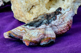 LG. Banded Agate Crystal Fantail Goldfish Carving ✨🤩🐟🐠🐡🤯🤍