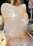 XL Red Hematoid Quartz Crystal Kitty Cat Sitting on Skull ☠️💀🐈🐾🤩✨🤯💎🤍❤️