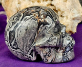 LG. Shell Jasper Crystal Skull 💀🩶🤯🤩🤍