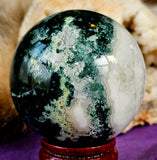 LG. Tree Agate Crystal Sphere 💚✨🤩🔮🌳🤍