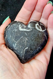 MD. Unique Black & White Fossilized Coral Crystal Puffy Heart Stone 🖤✨🐚🪸🤍