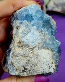 Raw Celestite Crystal Geode Specimen ✨🩵💎✨💙