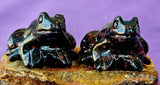 Black Plum Blossom Jasper Crystal Frog Carving 🐸✨🥹💎