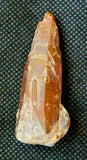 Raw Lemurian Tangerine Quartz Crystal Point ✨🤩🍊🧡