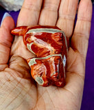 MD. Red Jasper Crystal Carved Kitty Cat Figurine ♥️✨♥️🐈😻🐾
