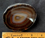 Queensland Agate Crystal Polished Geode 💥✨🔥🪨