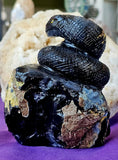LG. Black Agate w/Vug & Druzy Crystal Snake Carving on Rock 🪨🖤🐍✨🤩💎