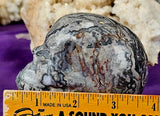 LG. Shell Jasper Crystal Skull 💀🩶🤯🤩🤍