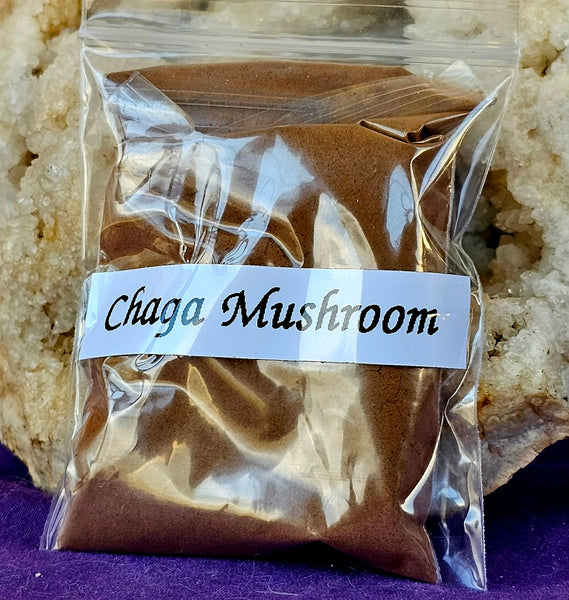 Fresh Cut Dried Organic Chaga Mushroom 🍄🌿🌰