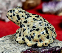 Dalmatian Jasper Crystal Frog Figurine 🐸