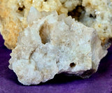 Raw Flowering Dogtooth Calcite Crystal Specimen 🦷🌸✨🐶