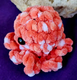 Handmade Crocheted Strawberries and Cream Octobaby Plushie 🦑🥹🐙