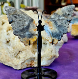 Crazy Lace Agate Crystal Butterfly on Black Metal Display Stand ✨🖤🦋💛