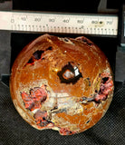 ✨RARE✨ Partially Raw/Polished Fire Agate Crystal Sphere 🔮🤩🤯🥵🌹🔥