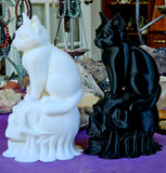LG. 3D Printed Cat Perched on Skull Decor