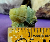 Caribbean Calcite Crystal Hand Carved Basilisks Lizard