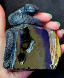 LG. Black Agate w/Vug & Druzy Crystal Snake Carving on Rock 🪨🖤🐍✨🤩💎