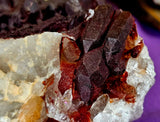 LG. Raw Red Capped Hematoid Phantom Quartz Crystal Cluster 💎😍✨♥️🍒