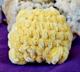 Handmade Crocheted MD. Yellow Frog Plushie 💛✨🐸💚