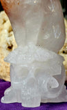 XL Red Hematoid Quartz Crystal Kitty Cat Sitting on Skull ☠️💀🐈🐾🤩✨🤯💎🤍❤️