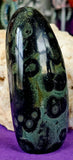 MD. Kambaba Jasper Crystal Freeform 💚🤩✨🤯🖤