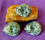 SM. Kiwi Jasper Crystal Sleeping Kitty Cat Carving ✨😻🐈🐾😴