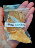 Fresh Cut & Dried Organic Shitake Mushroom 🌿🍄 🌰