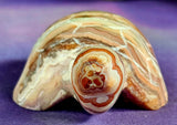 Hand Carved Mexican Lace Agate Crystal Turtle Figurine