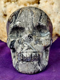 LG. Shell Jasper Crystal Skull 💀🩶🤯🤩🤍