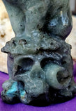 XXL Labradorite Crystal Cat Sitting on Skull Statue ☠️💀🐈🐾✨🤩