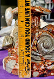 XXL Money Agate Crystal Snail & Mushroom Statue 🤍🍄🐌🍄💵💰♥️