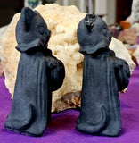 MD. Matte Finished Halloween Kitty Cat w/Jack 🎃🐈🐱🧛🦇