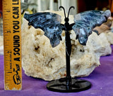 Moss Agate Crystal Butterfly On Black Display Stand 🌿🦋🤍✨