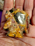 Crazy Lace Agate Crystal Fish Carving 🐠💛✨🩶🐟