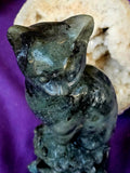 XXL Labradorite Crystal Cat Sitting on Skull Statue ☠️💀🐈🐾✨🤩