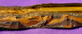 LG. Tigers Eye Lapidary Grade Partially Polished/Raw Crystal Slab 👁️✨🤩🐅🐯⚜️